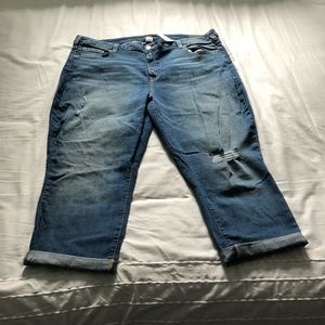 NWT lane Bryant distressed denim Capri - size 24